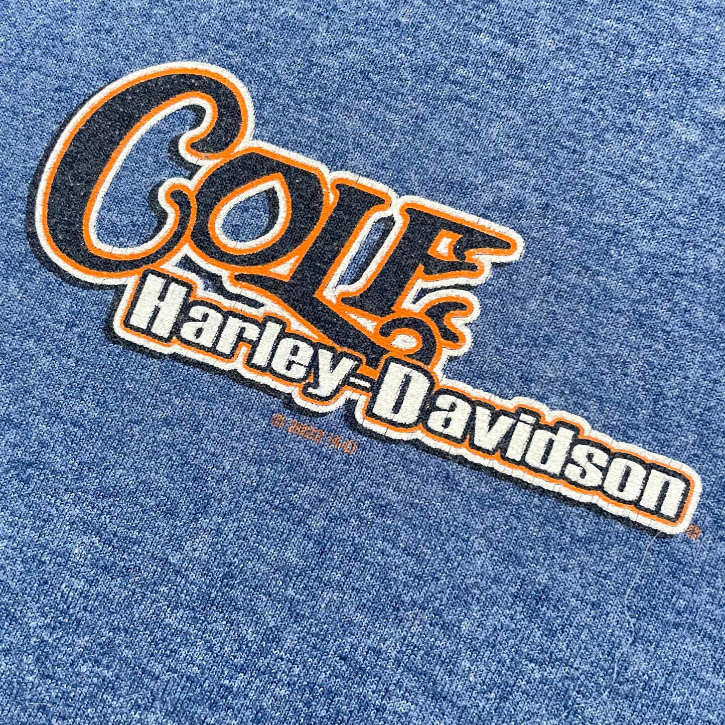 Harley Davidson Blue Print Cole T-Shirt 2022