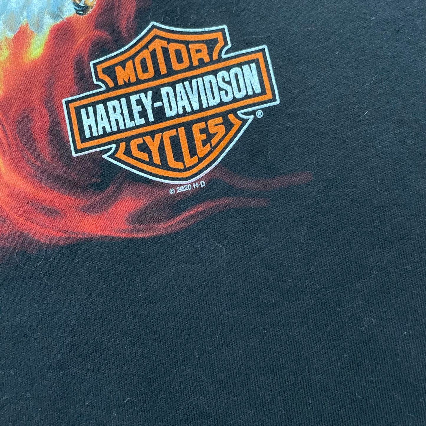 Harley Davidson Flaming Eagle Print T-Shirt 2020 California