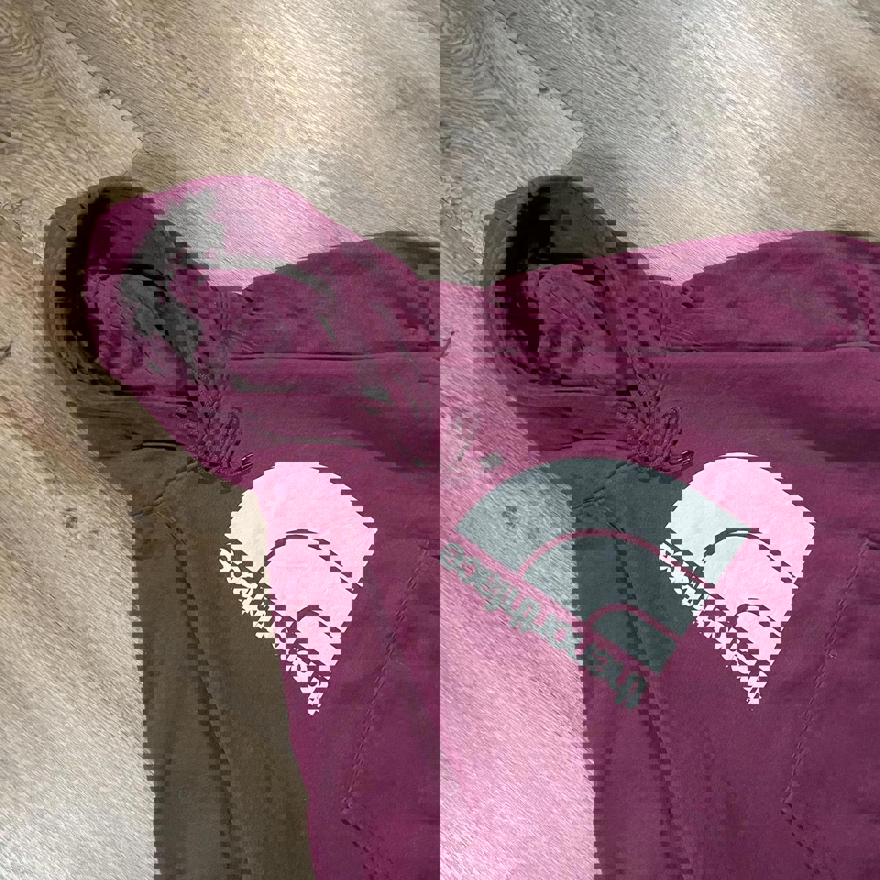 North Face Purple Hoodie